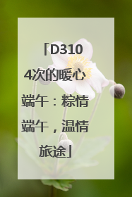 D3104次的暖心端午：粽情端午，温情旅途